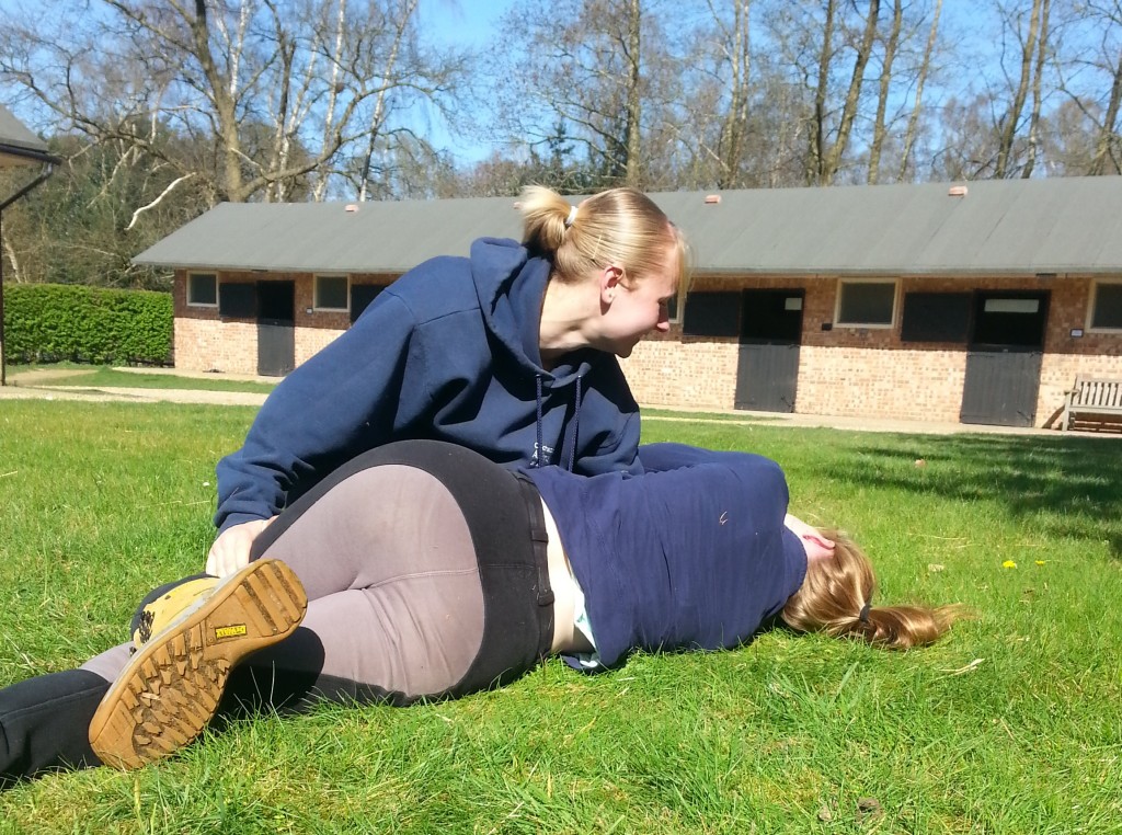 First Aid Training Courses for Horse Riders