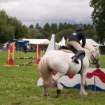 First Aid Training Courses for Horse Riders