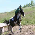 First Aid Training Courses for Horse Riders